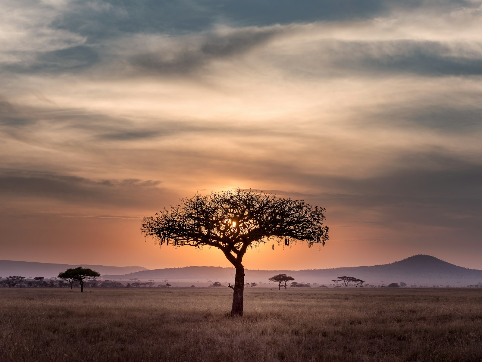 Africa Earth Observatory